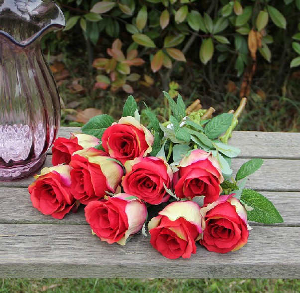 玫瑰花怎么修枝视频教程,玫瑰花怎么养才不会枯萎放洗洁精