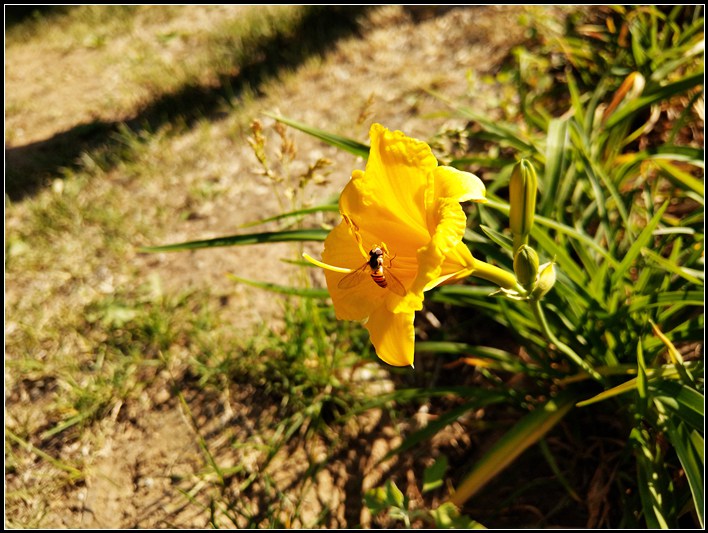 htcu11手机详细参数,htcu11手机测评