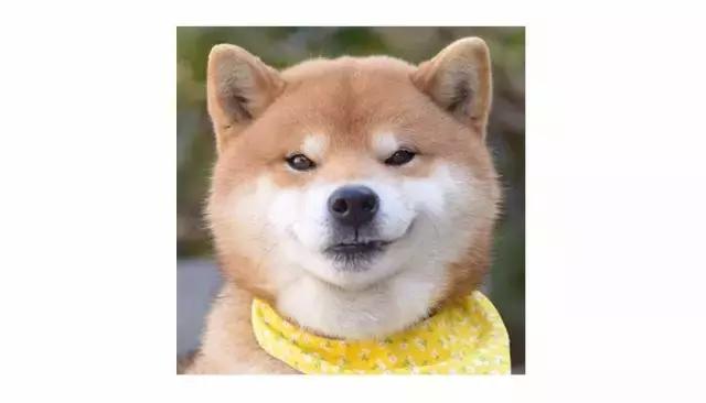 100块钱能买什么名牌包包,100块钱左右的包包品牌