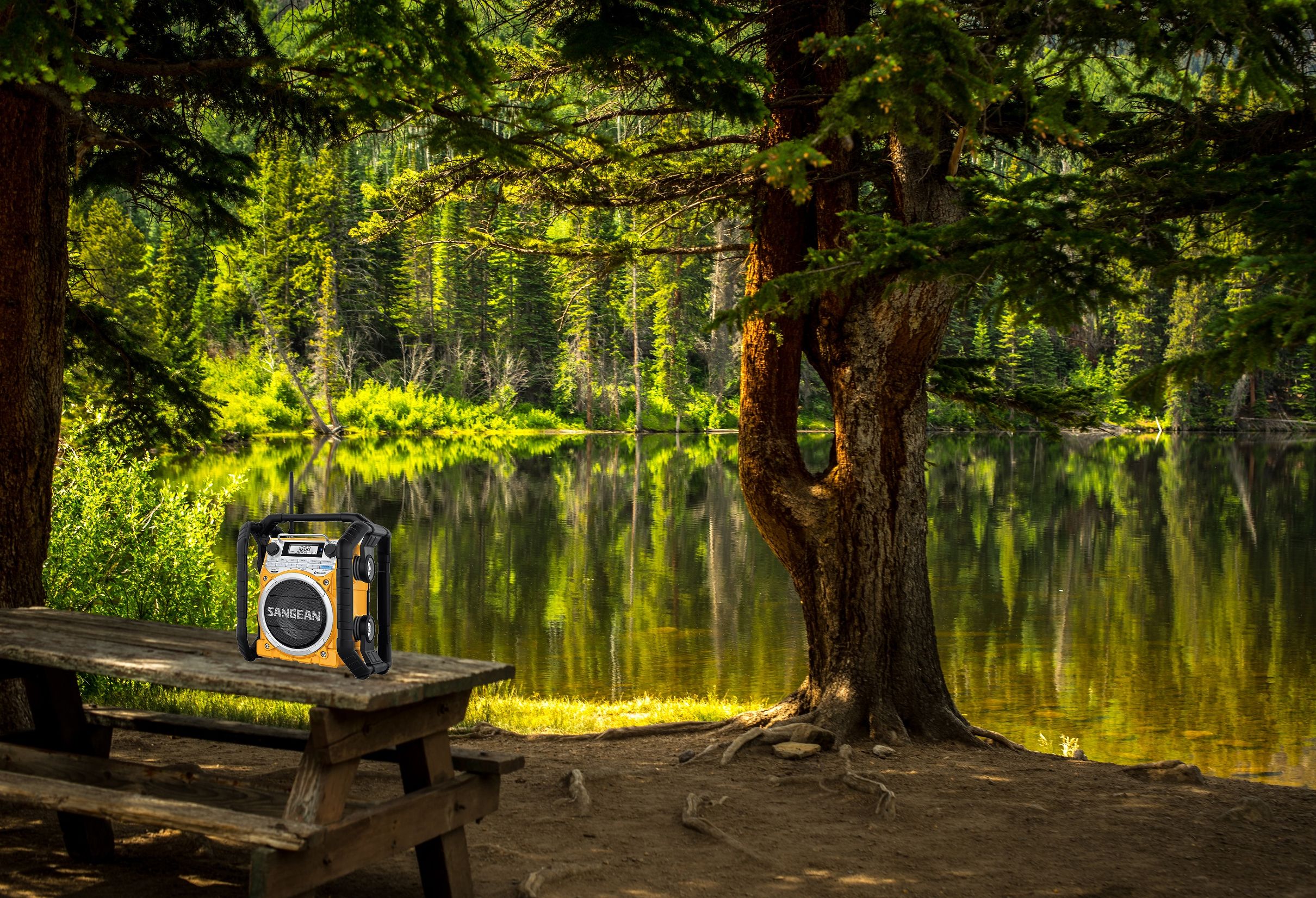 SANGEAN山进U4，被这个霸气的肌肉音响脸折服了，广场舞外放神器