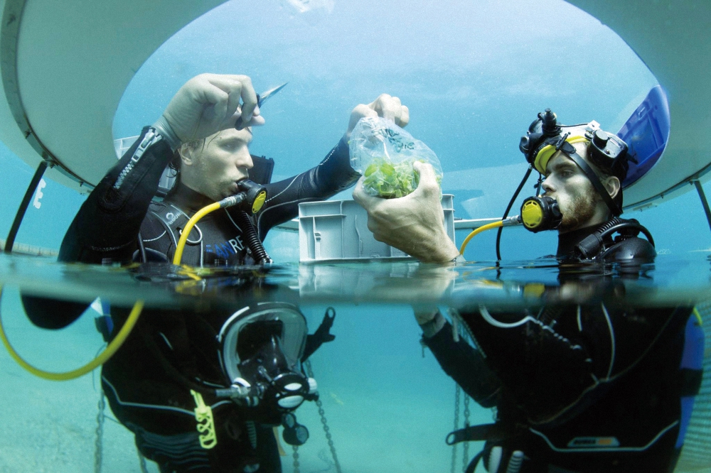 海底真的可以种菜啊！发展农业的空间扩展了有木有？