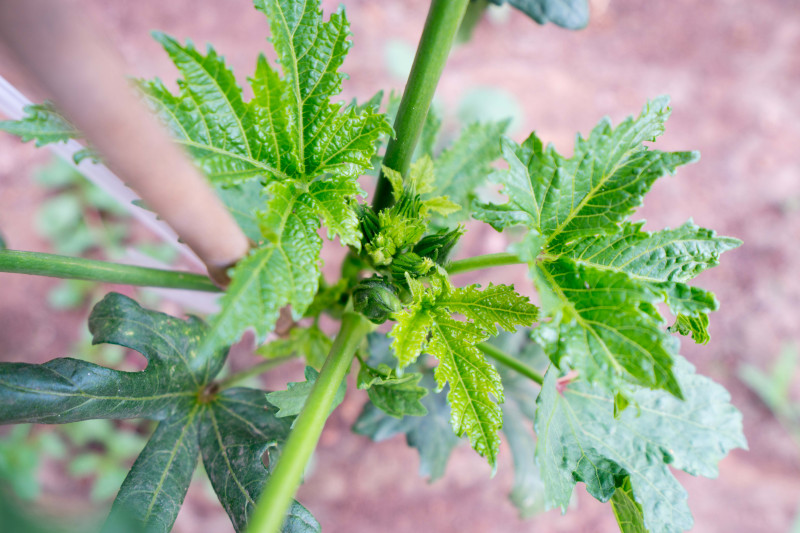 蓬莱温泉旅游度假村,蓬莱适合度假的小镇