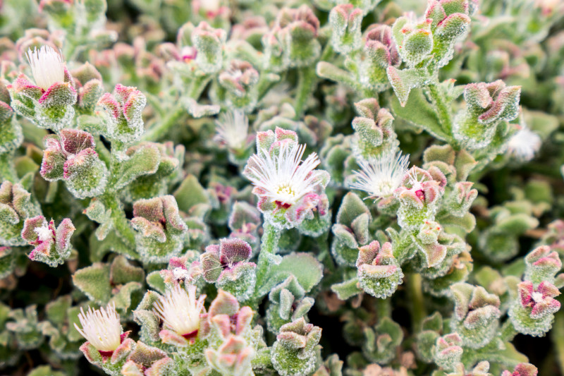 蓬莱温泉旅游度假村,蓬莱适合度假的小镇