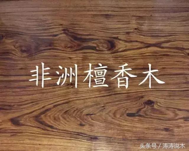 「识木」非洲檀香(檀香花梨)与螺穗木