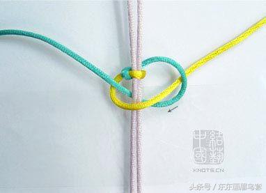 东东画眉鸟套之各种好看实用的绳套你了解吗？