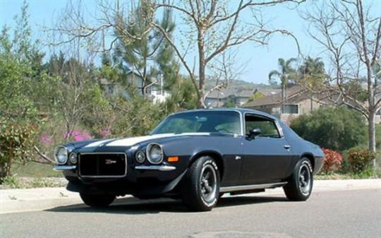 大黄蜂科迈罗发展史,大黄蜂科迈罗通过性