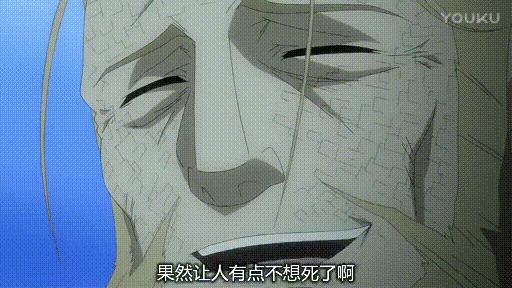 钢炼霍恩海姆死亡,钢炼为什么霍恩海姆是贤者之石