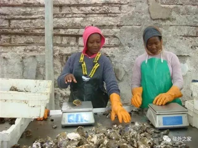 扛过枪、渡过江、下过乡的60岁“中国大妈”如何在花甲之龄闯非洲！｜