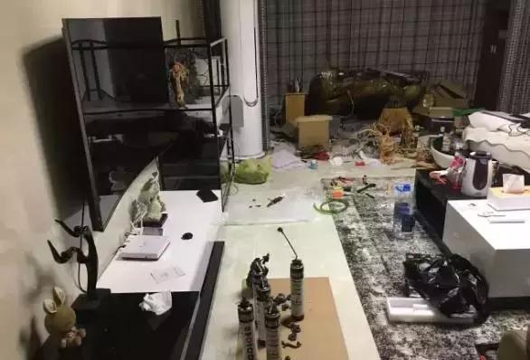 雨林缸生态水景,家居小鱼缸造景