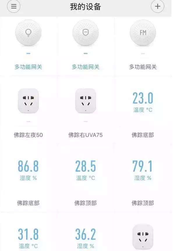 雨林缸生态水景,家居小鱼缸造景