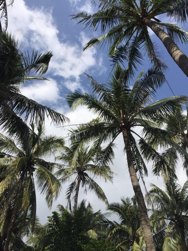 去过三亚旅游的感觉三亚怎么样？