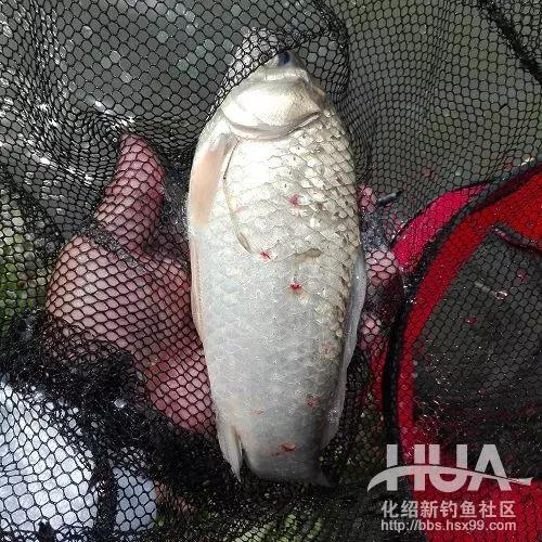 竿长跟漂的关系,竿长与漂重