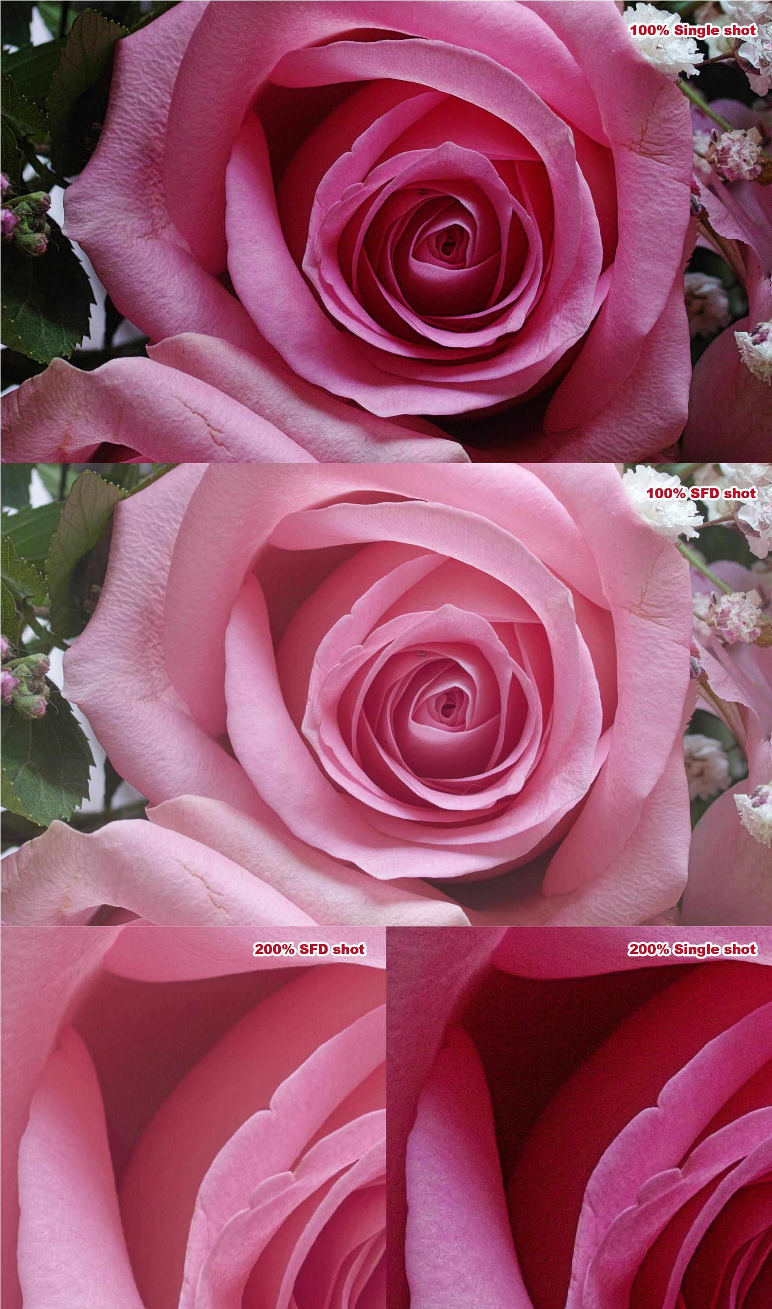 适马sdq与sdqh参数区别,适马sdqh画质怎么样