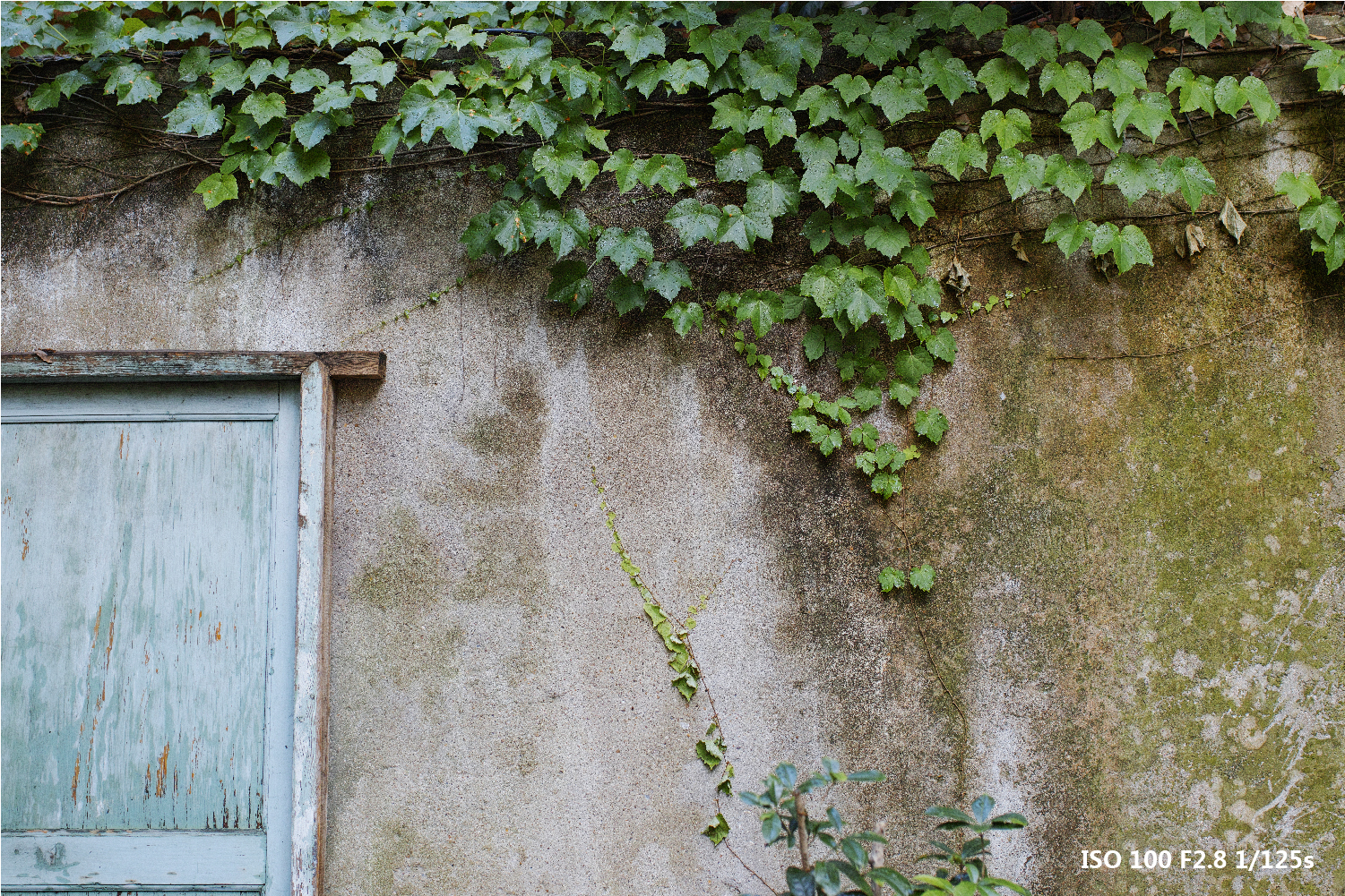 适马sdq与sdqh参数区别,适马sdqh画质怎么样