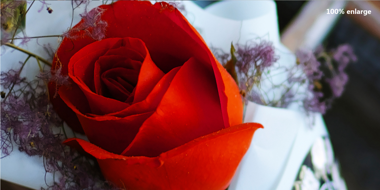 适马sdq与sdqh参数区别,适马sdqh画质怎么样