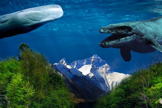 让自己快速强大的捷径,让自己强大最简单的方法