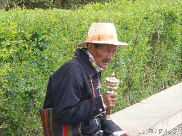 大美青海之行全集,大美青海之旅全集