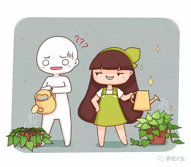 夏季发财树一般多少天浇水一次 (夏季多肉晴天浇水还是雨天浇水)