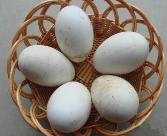 农村代购生活用品,农村代购多少钱一个月