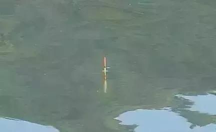 抛竿的优点和缺点,抛竿有什么讲究