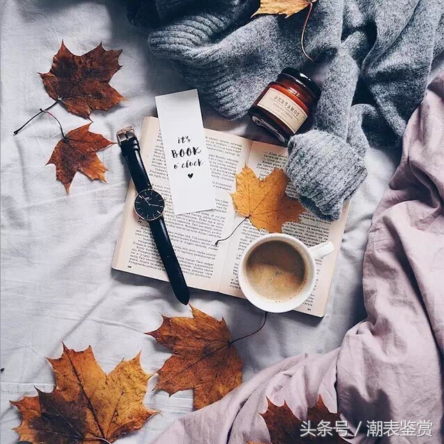 dw手表说明书第四页真假辨别,dw手表怎样验真假