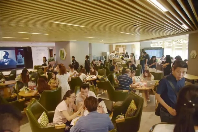 生活家装饰去年财报,生活家618新品