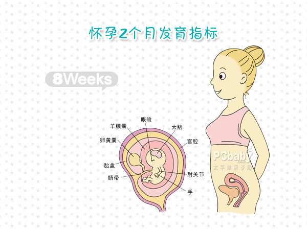 怀孕两个月的症状,怀孕两个月会有褐色分泌物