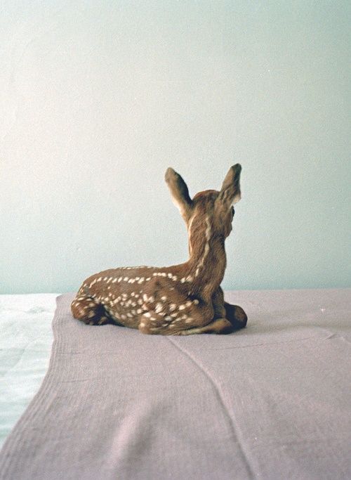 毕业生打工等于就业吗,毕业生讲学习不是唯一的出路