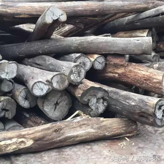 「识木」非洲檀香(檀香花梨)与螺穗木