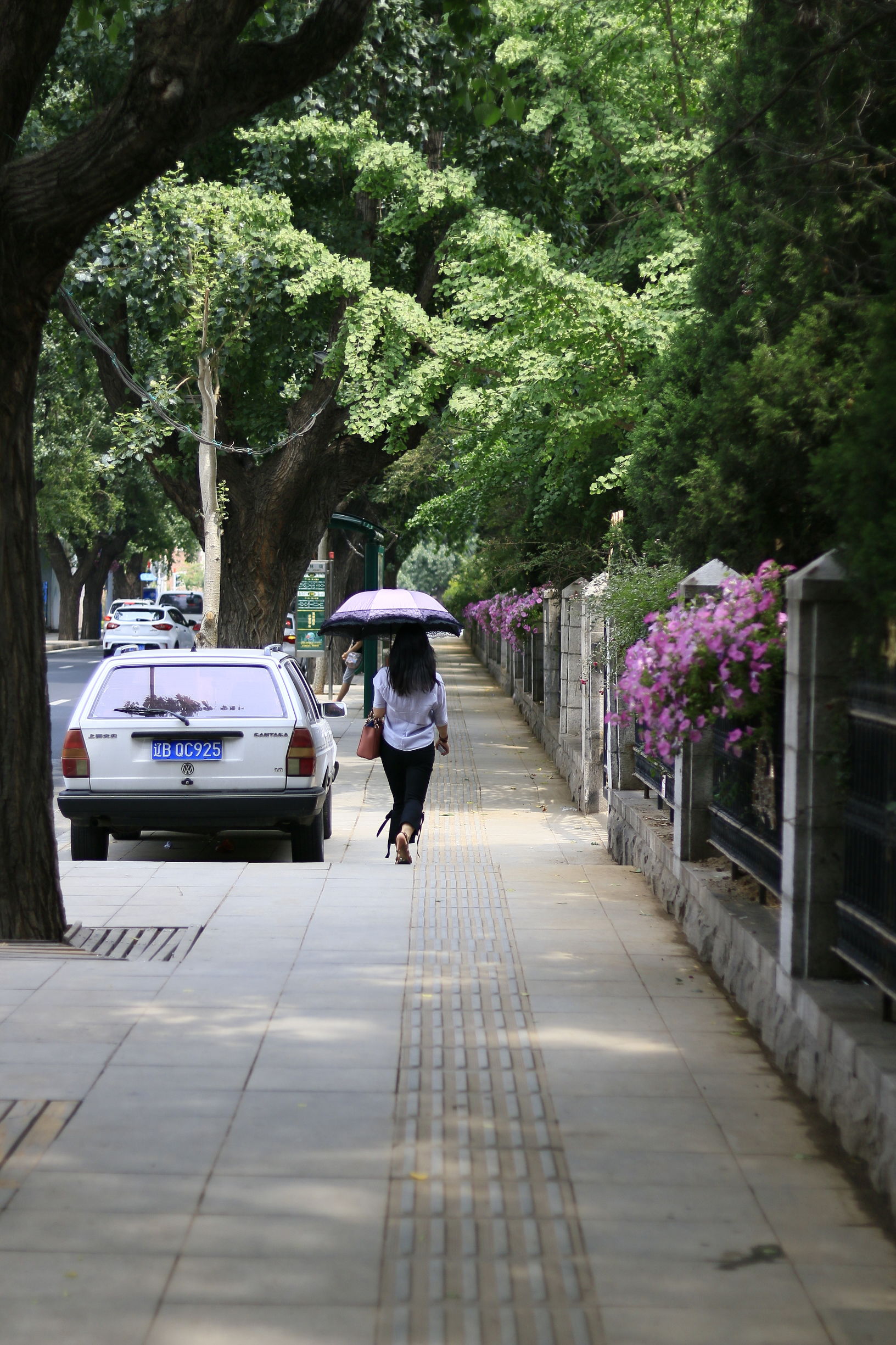 佳能70d配24mm头图片,佳能70d配18-55镜头怎么样