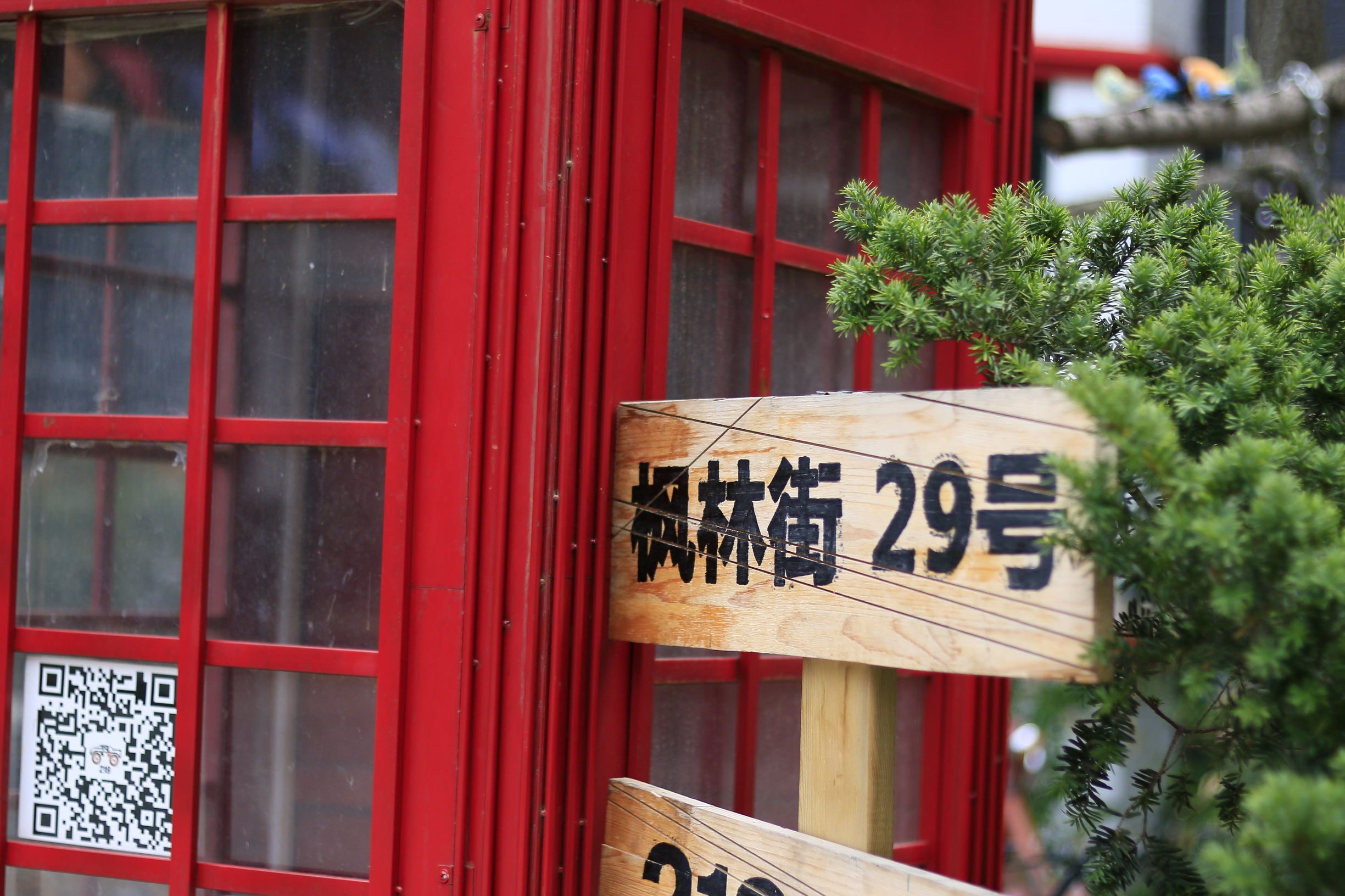 佳能70d配24mm头图片,佳能70d配18-55镜头怎么样