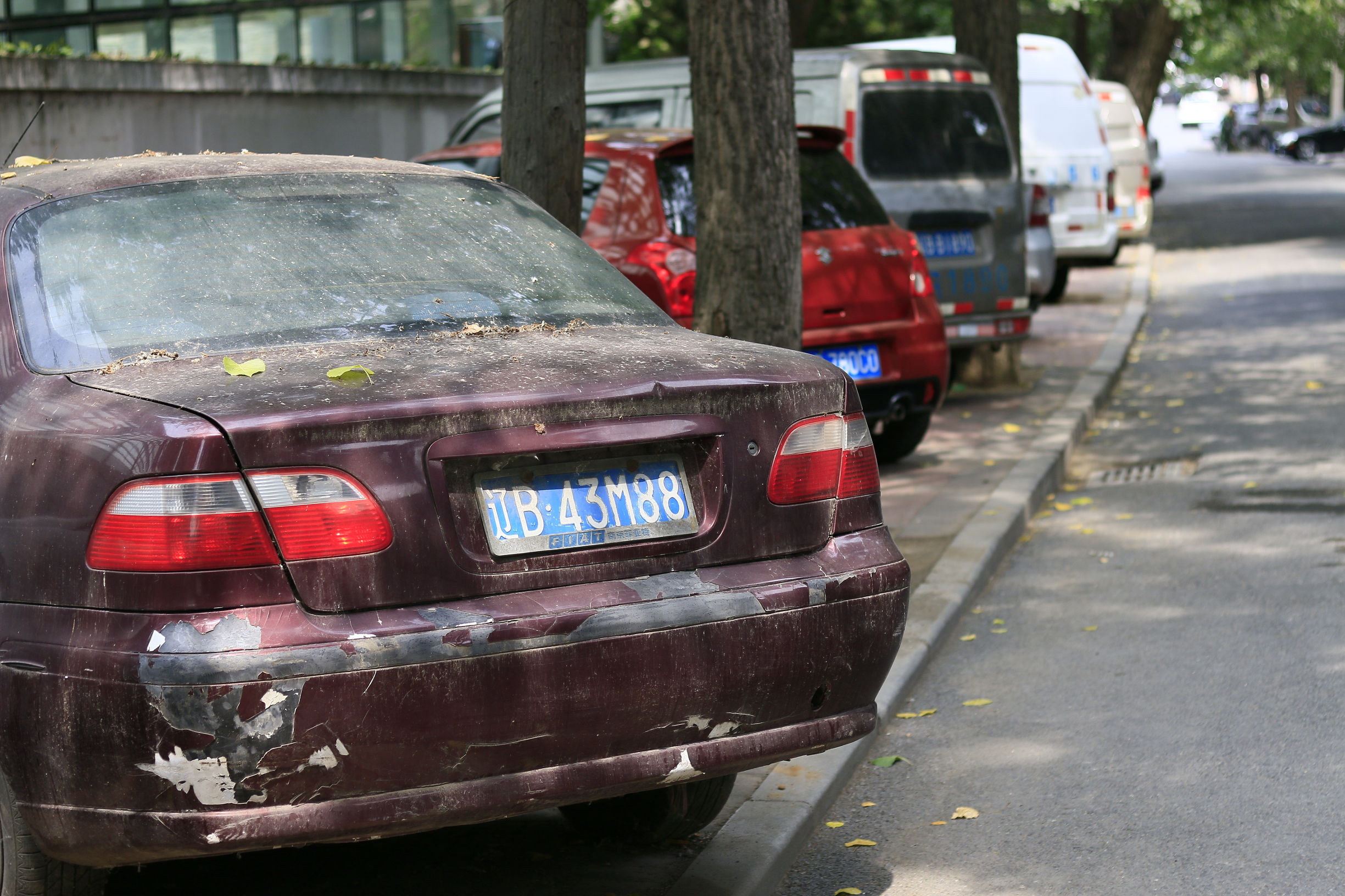 佳能70d配24mm头图片,佳能70d配18-55镜头怎么样