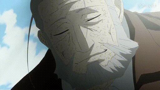 钢炼霍恩海姆死亡,钢炼为什么霍恩海姆是贤者之石