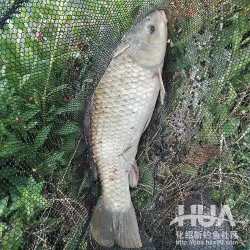 竿长跟漂的关系,竿长与漂重