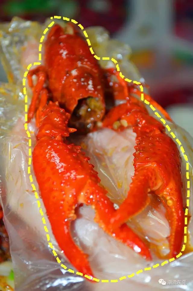 东莞城区小龙虾推荐,东莞小龙虾店推荐