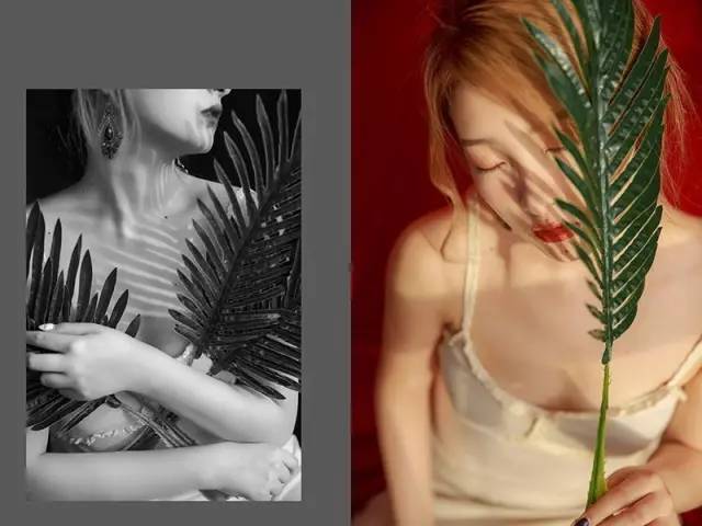 摄影师gyeonlee参加活动,gyeonlee摄影师