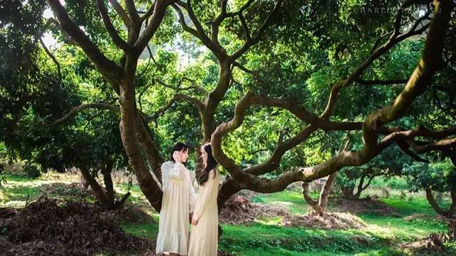 摄影师gyeonlee参加活动,gyeonlee摄影师