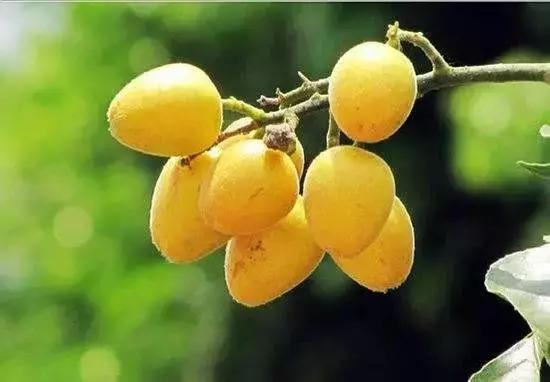 啊!好咸!好爽!喝完一袋盐后小编身残志坚,只为告诉你谁是老盐界的no.1!