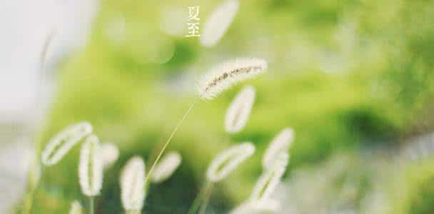 立夏贴士|夏季贪凉小心妇科疾病黏上你!