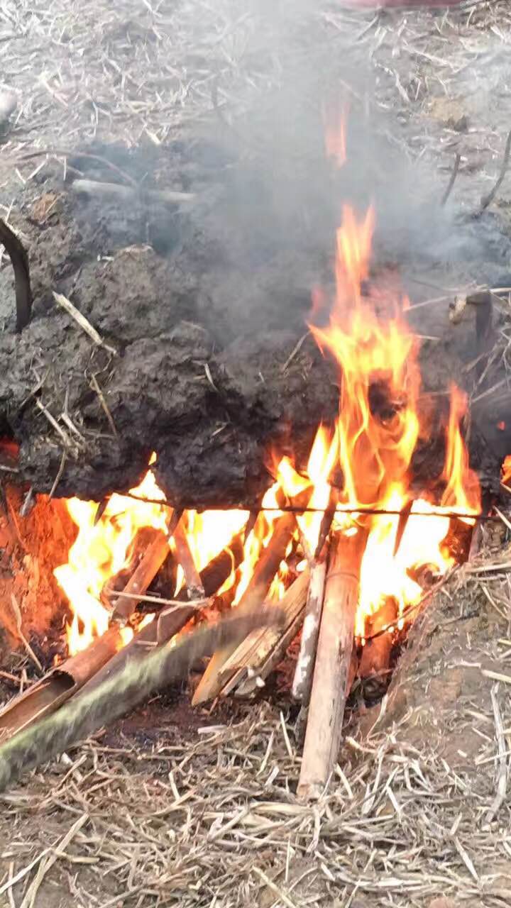 乌鲁木齐黄泥巴烤鸡,黄泥巴烤鸡的正宗做法