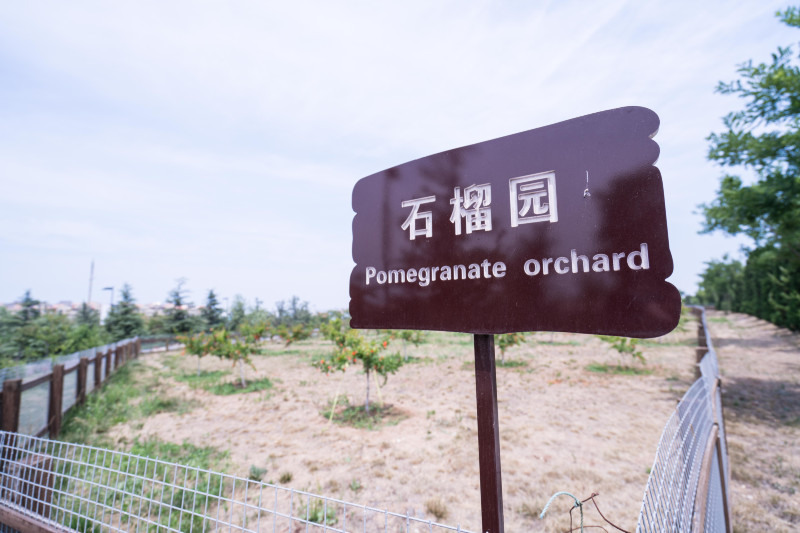 蓬莱温泉旅游度假村,蓬莱适合度假的小镇