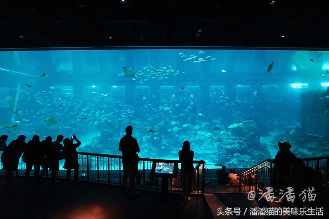 新加坡圣淘沙一日游路线图,新加坡圣淘沙游玩攻略费用