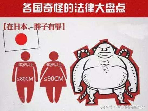 瘦腰最有效的马甲线,是瘦腰但是没有马甲线怎么办