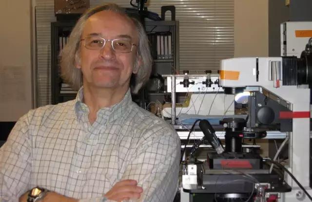 dna复制新发现,人类dna复制过程