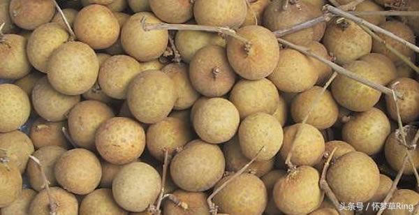 三亚必吃的十大水果排名,海南三亚最爱吃的水果