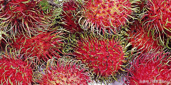 三亚必吃的十大水果排名,海南三亚最爱吃的水果