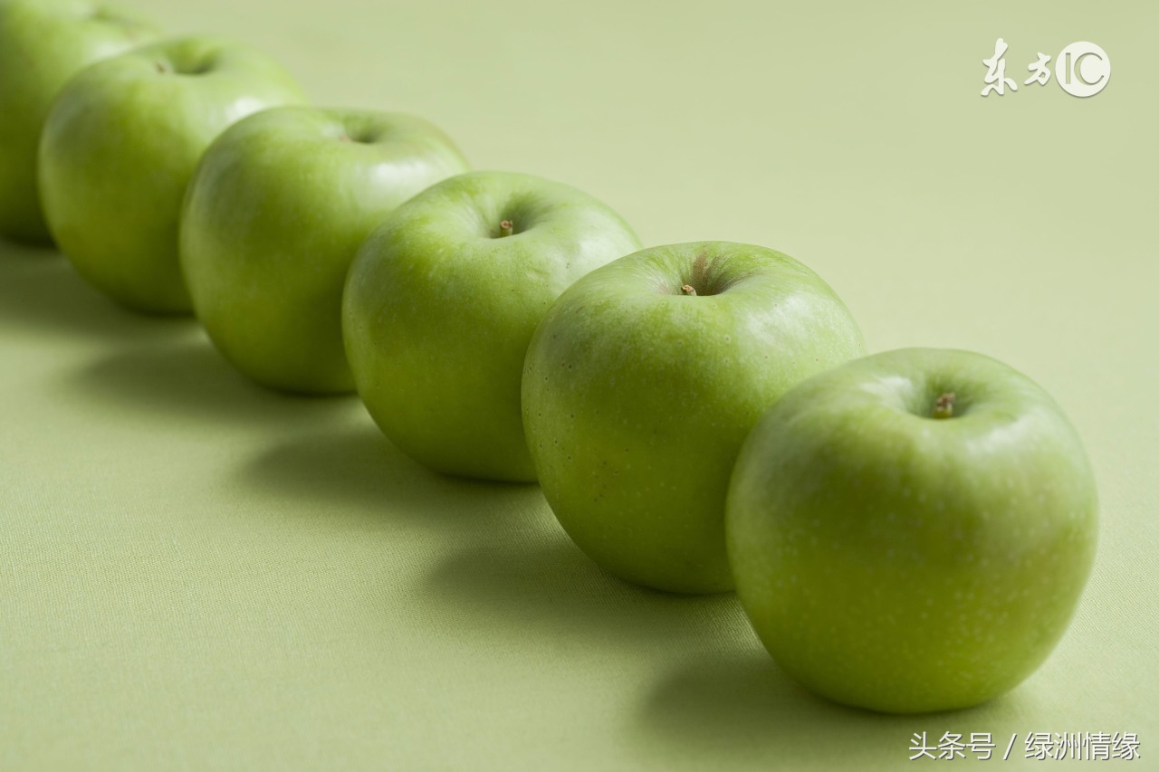 苹果的味道天才在左疯子在右解析,苹果的味道怎样