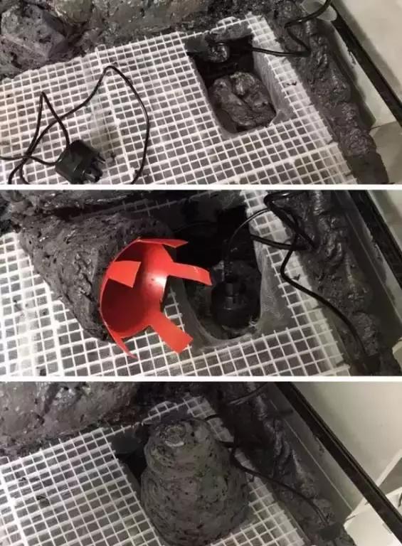 雨林缸生态水景,家居小鱼缸造景