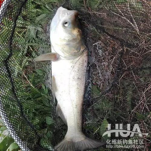 竿长跟漂的关系,竿长与漂重