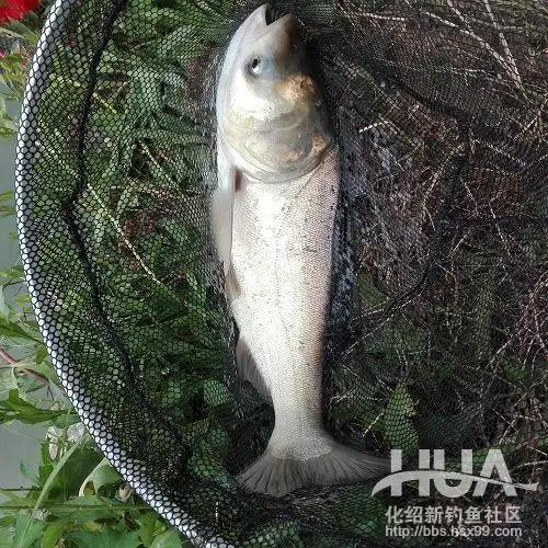 竿长跟漂的关系,竿长与漂重